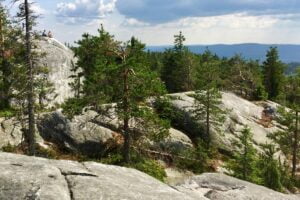 Read more about the article Kolin parhaat maisemat, osa 7/8: Aakein ja laakein, Akka-Koli