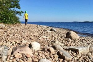 Read more about the article Kolin parhaat maisemat, osa 5/8: Seikkailuhenkisin, Kaiskunniemi