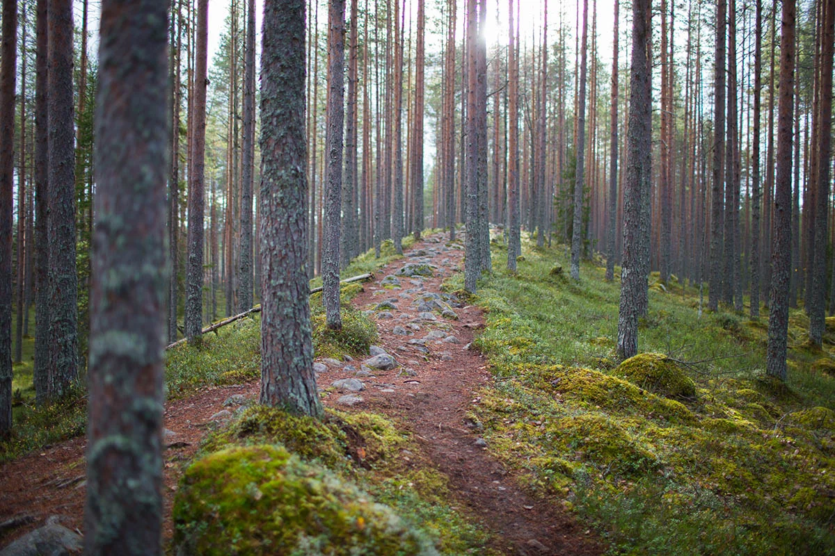 liikunnanilosta-tiilikkajarvi-harju